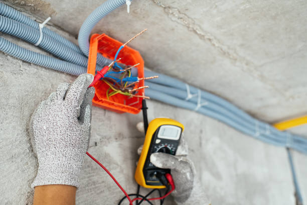Best Electric Panel Repair  in Hallstead, PA